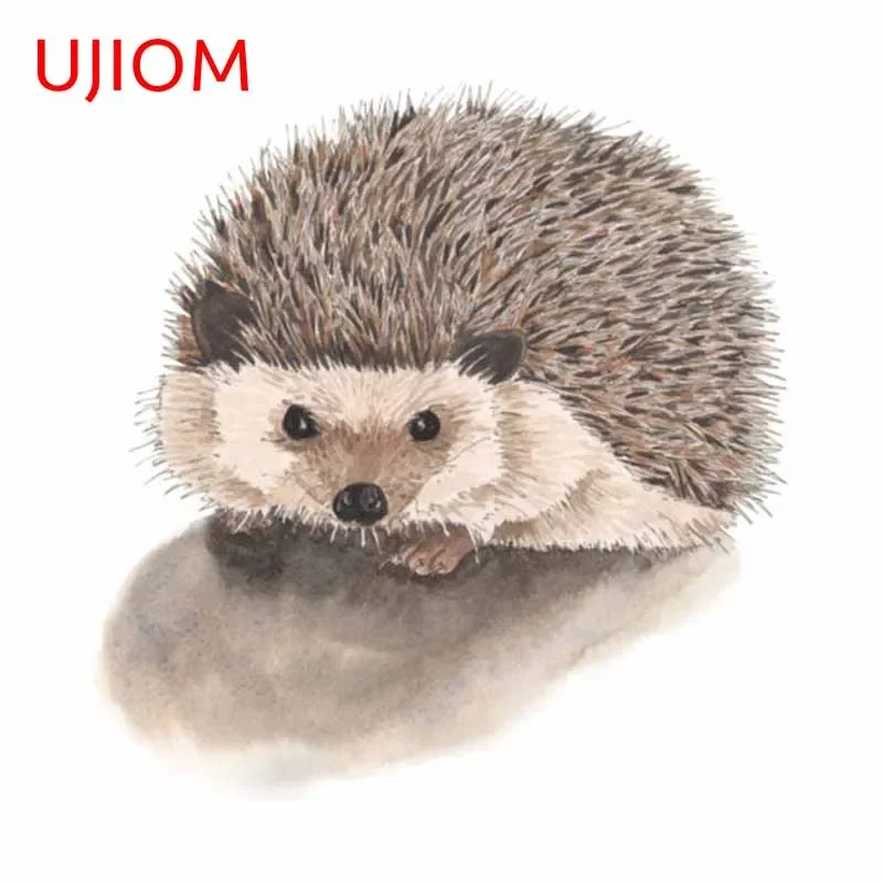 UJIOM 13cm Funny Hedgehog Cute - Baby Nursery Vinyl Wall Stickers 리뷰 및 가격